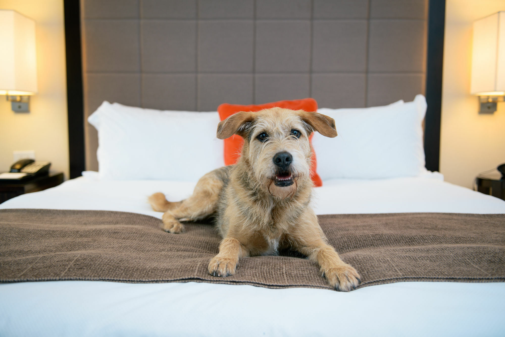 Candlewood Suites - Bluffton-Hilton Head By Ihg Exterior foto